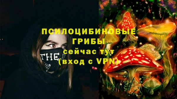 стафф Алзамай