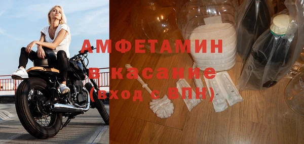 стафф Алзамай