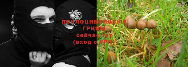 кокаин премиум Алексин